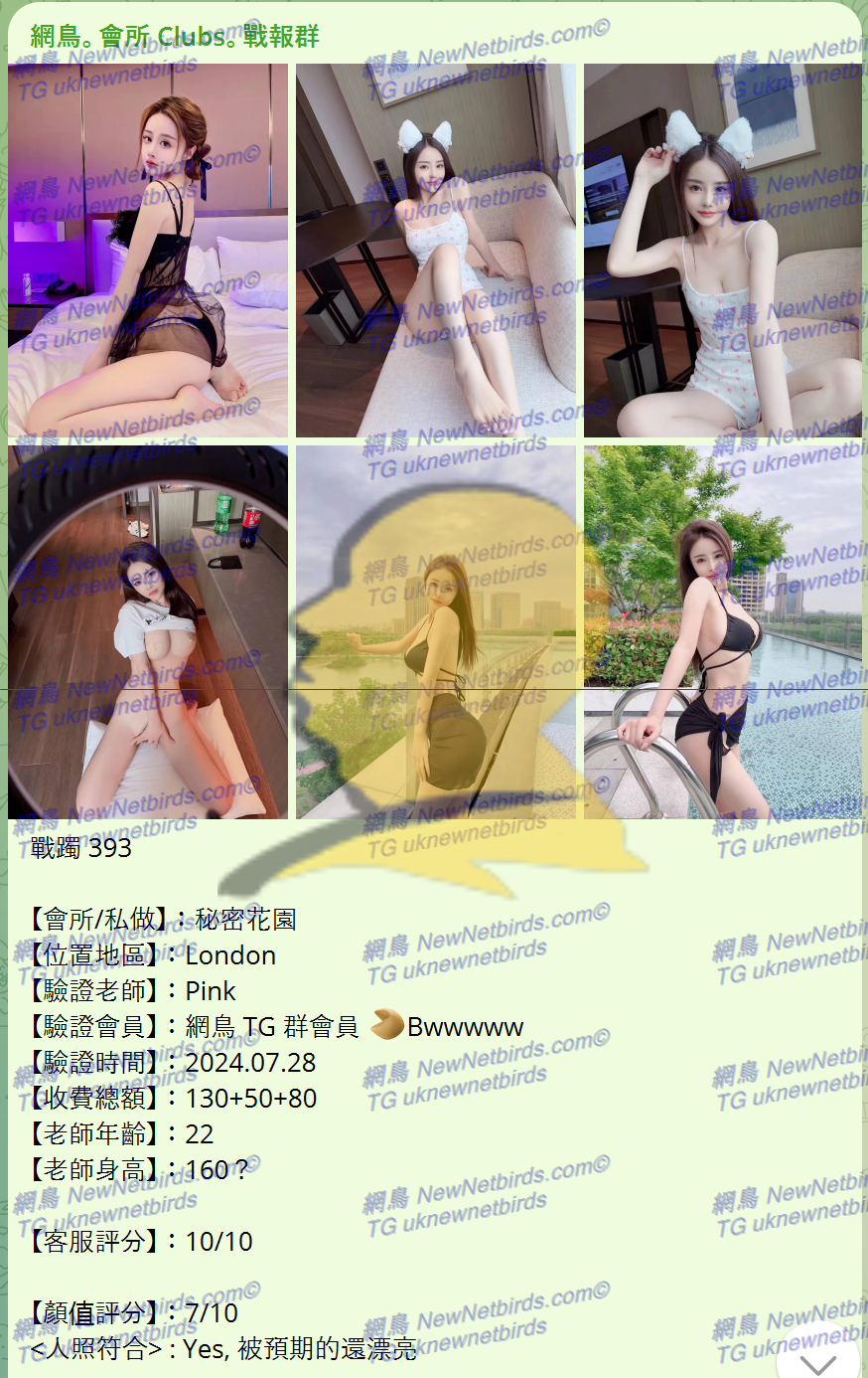 戰號 393 1.png